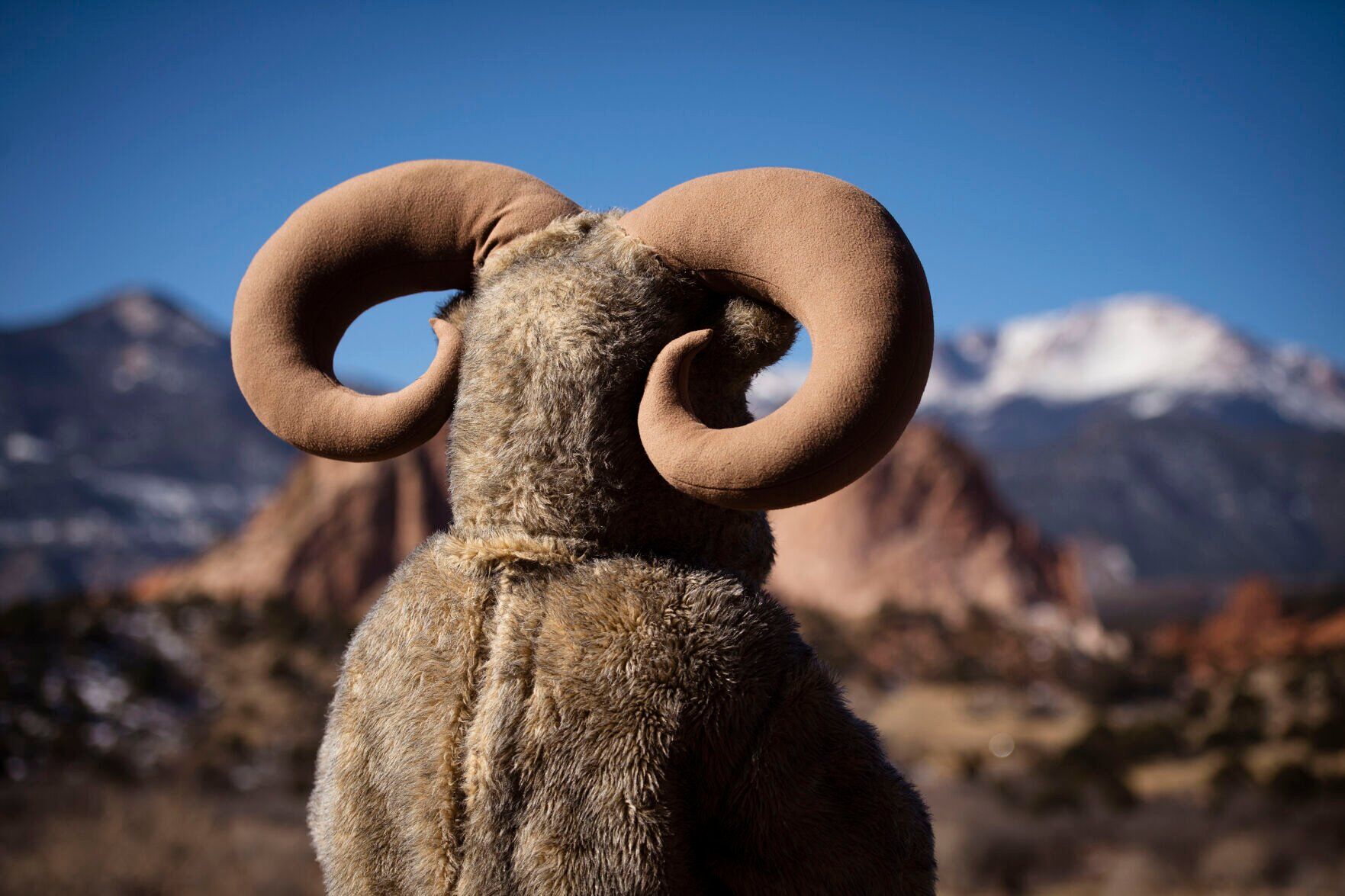 Bighorn Sheep Day Festival